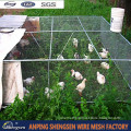 Chicken mesh/Agricultural fence